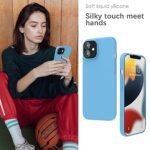 Silicone Bumper Case for iPhone 12 (Sky Blue) | Camera Lens (Silver) | Matte Finish Back Membrane screen Guard (Pack Of 3) Combo