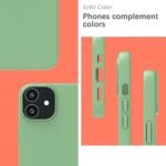 Silicone Bumper Case for iPhone 12 (Mint Green) | Camera Lens (Silver) | Matte Finish Back Membrane screen Guard (Pack Of 3) Combo