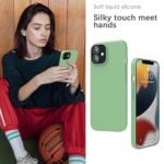 Silicone Bumper Case for iPhone 12 (Mint Green) | Camera Lens (Silver) | Matte Finish Back Membrane screen Guard (Pack Of 3) Combo