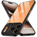 ShockProof Sleek Armor Back Cover Case for iPhone 17 Pro | 360° Protection | Crystal Clear Hard Back Case (Eagle)
