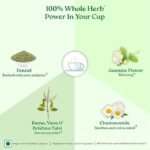 colvod, Tulsi Moringa Green Tea  (50bag,100bag,250gm,500gm) Low Caffeine, Non GMO & Gluten Free | Naturally High Grown Green Tea | Individually Wrapped Pyramid Tea Bags | Direct from Source