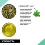 Volcod Tea - Helps With Hormonal Imbalance, Facial Hair, And Pcos | Spearmint Tea Bags (100 Tea Bags - 1 Month Pack)