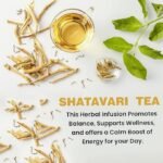 Colvod - Shatavari root Tea (50bag,100bag,250gm,500gm) | Cut & Sifted for Herbal Tea | Organic Asparagus Racemosus from India| Premium Naturally Dried Shatavari root