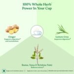 Colvod Organic India Tulsi Green Tea Lemon Ginger - 100 Tea bags, Herbal Blend with Green-Tea, Tulsi, Lemon & Ginger, Supports Digestion, Refreshing Taste, Natural Ingredients