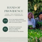 Colvod Masala Chai Powder 100Gm Pack | Chai Adda-Bari | Organic Black Tea | Strong, Robust & Aromatic Masala Chai | Indian Spice Chai Enriched With Cinnamon & Cardamom | Energy Booster