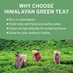 Colvod Himalayan Green Tea Leaves - 100 Bags  | Non GMO, Gluten Free |Natural, High Elevation Grown Tea Leaves From Himalayas | Pure Green Tea | Vacuum Sealed for Freshness