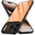 Shockproof Sleek Armor Back Cover Case for iPhone 17 Pro | 360° Protection (PC & TPU, Transparent Clear Back, Black Sides)